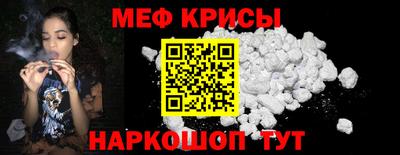 индика Камышлов