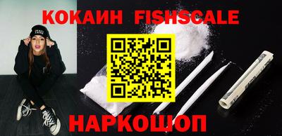 индика Камышлов