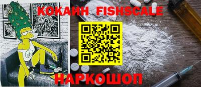 индика Камышлов
