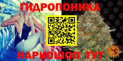 mdma Кандалакша