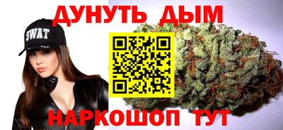 индика Камышлов