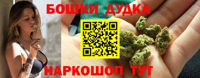 индика Камышлов