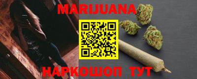 индика Камышлов