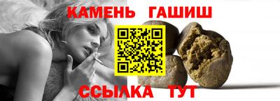 индика Камышлов