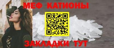индика Камышлов