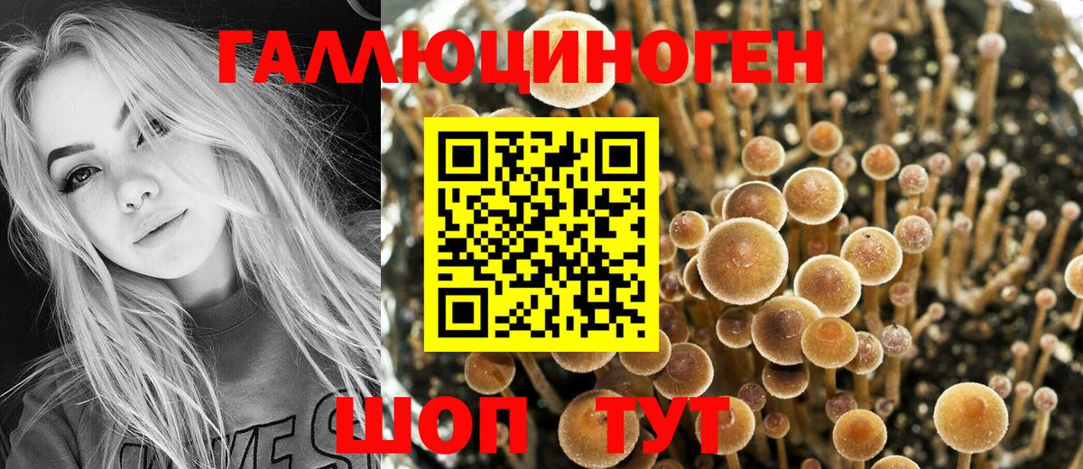 Галлюциногенные грибы GOLDEN TEACHER  Вход с VPN  Балтийск  Псилоцибиновые грибы Magic Shrooms 